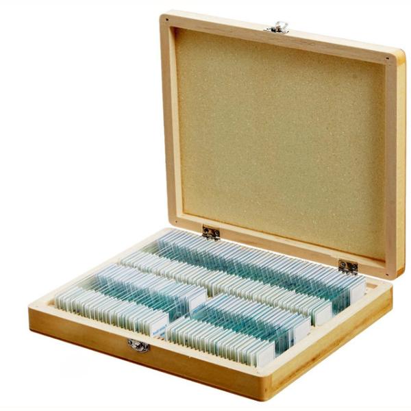 ODM 100pcs Wooden Box Glass Slide Biology As Children Educational Toys