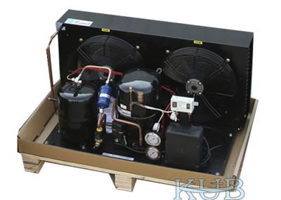 Unidade de condensação da baixa temperatura de Tag4561Z 5HP apropriada para o tempo longo do refrigerador diferente
