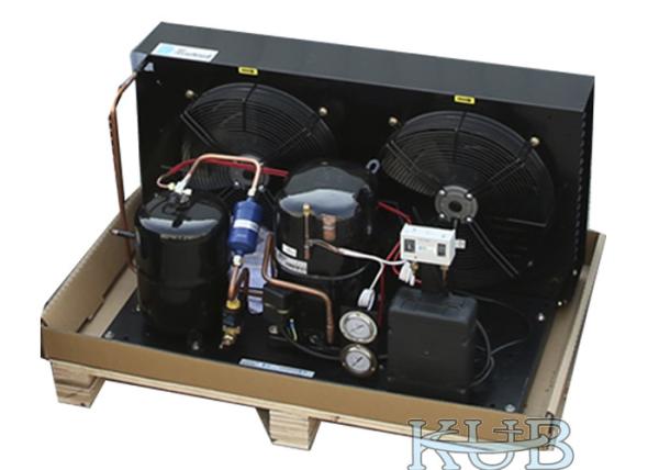 Unidade de condensação da baixa temperatura de Tag4561Z 5HP apropriada para o tempo longo do refrigerador diferente