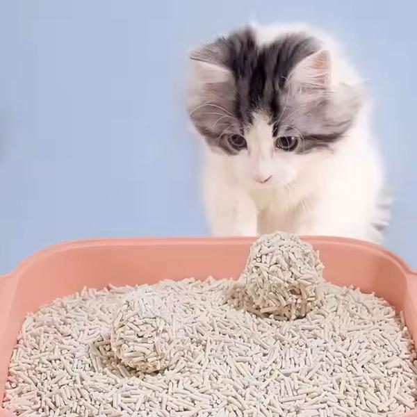 Sable de litière pour chats sans odeur et sans poussière, déodoré pour le tofu