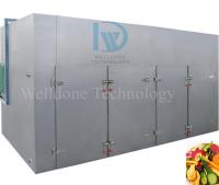 (Une grosse remise!) GMP Philippines armoire plateau sécheur prix / plateau électrique sécheur de nouilles / machine de séchage alimentaire 20 plateaux