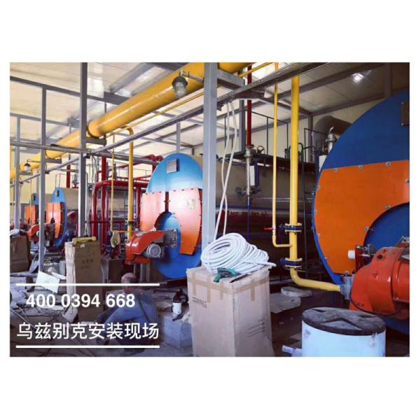 Yinchen Boiler WNS Industrial Oil Gas Fire Tube Steam Boiler For Food Industry