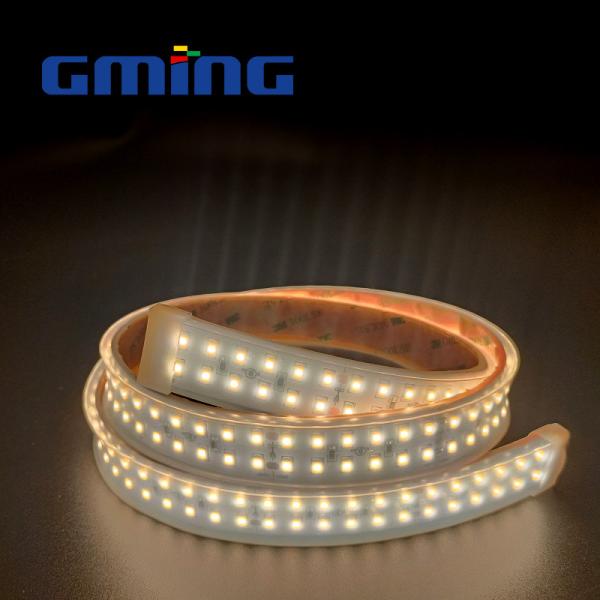 Waterproof Casing Drip SMD 2835 LED Strip Light Outdoor Use 120 Lamp