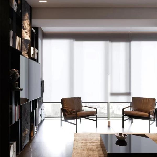 Cordless Blackout Office Window Drapes , Electric Roller Blinds For Offices