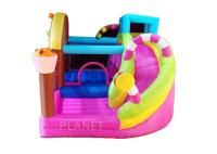 Casa inflable de encargo de la despedida del PVC de Logo Yard Plato