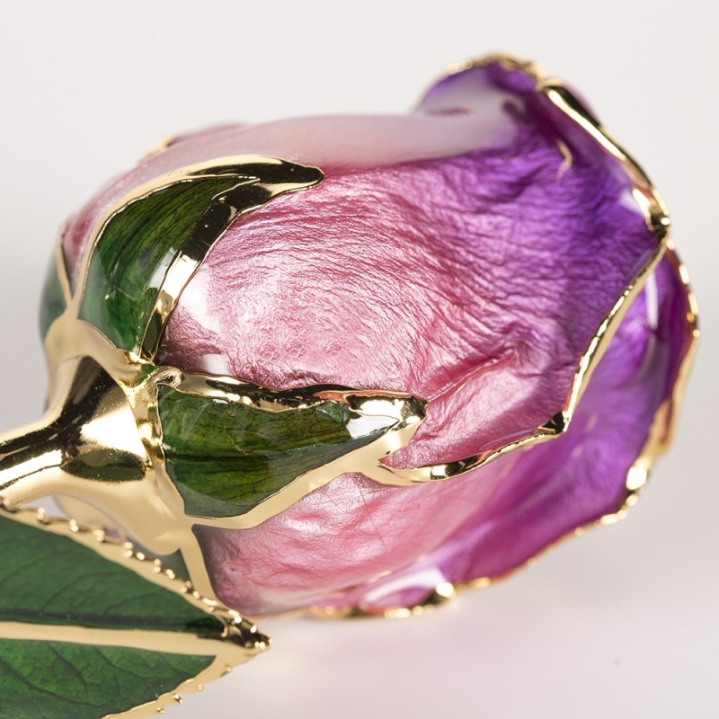 Gold Plated Rose Fresh Preserved Flower Gold Plated 24k Gold Plated Rose Eternal Roses Flower Mother's Day
