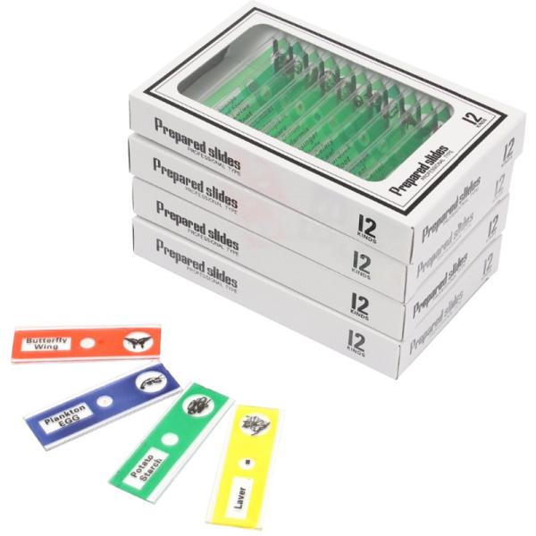 12pcs Children Customized Colorful Plastic Microscope Slides Used For Homeschool Teaching
