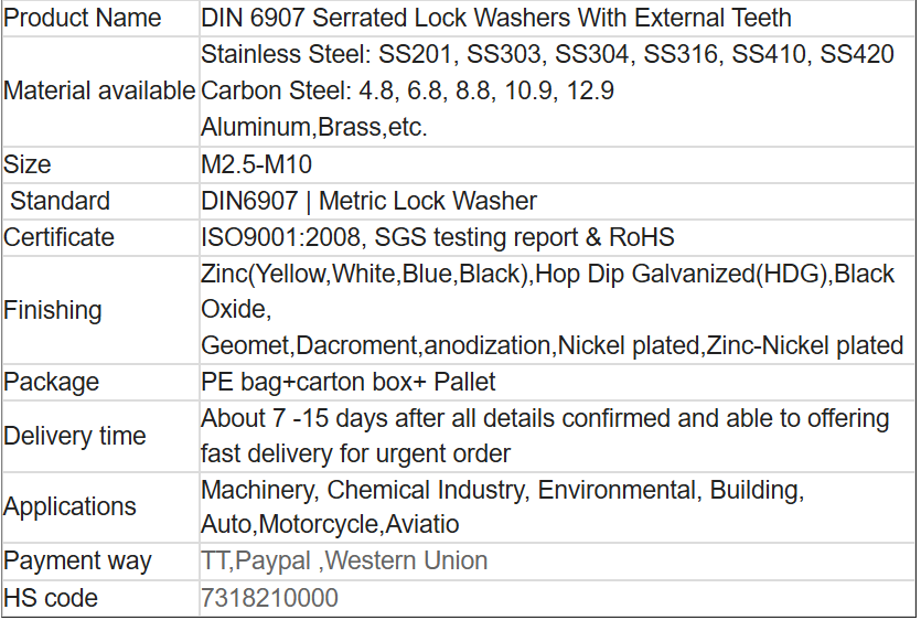 DIN 6907 Serrated Lock Washers With External Teeth