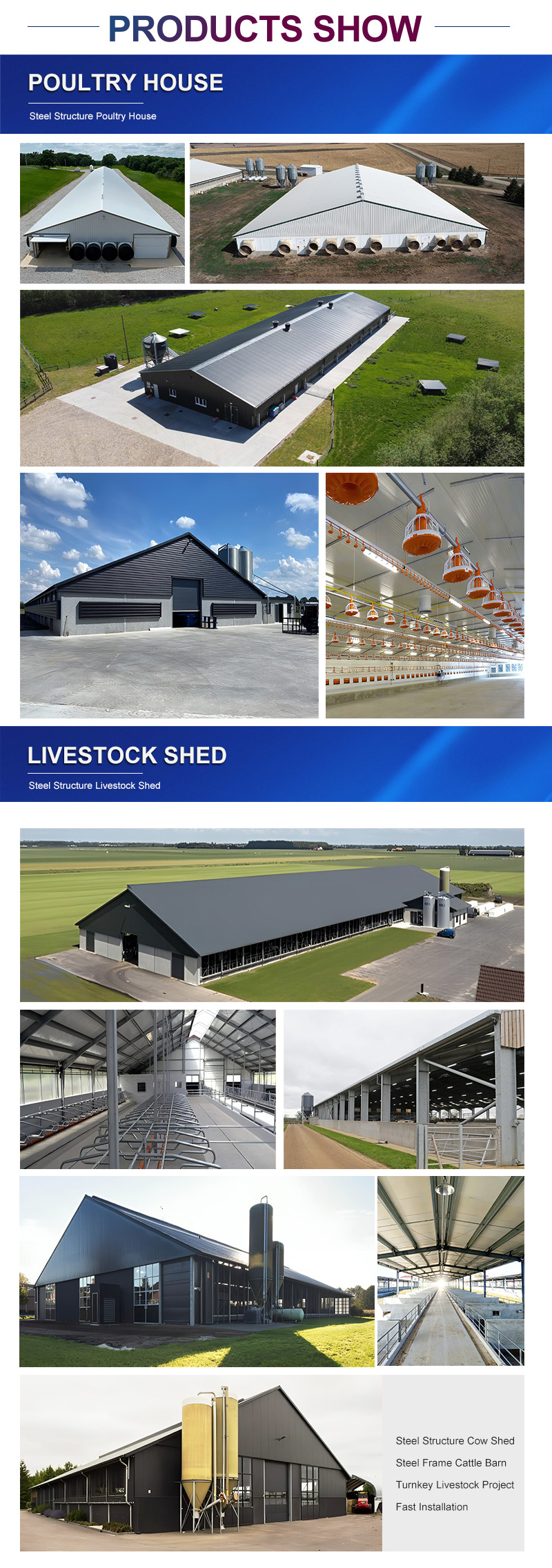 Cow Barn Construction Steel Frame Building for Milking Parlor Project Use