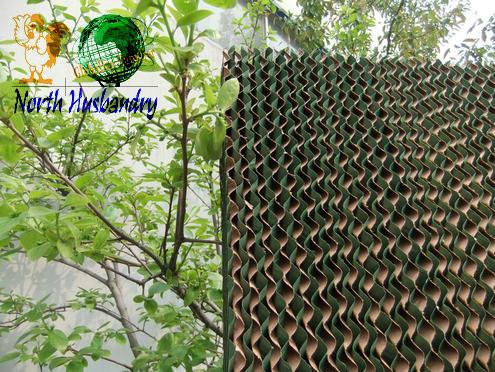 Fan Pad Cooling System - Poultry Equipment Manufacturers India 