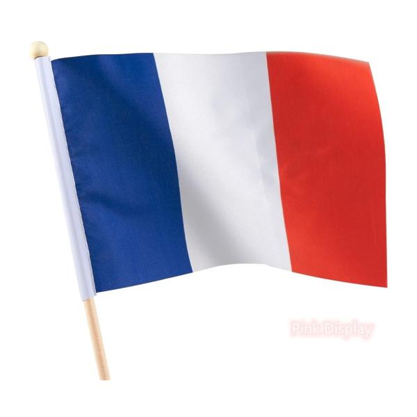 Silkscreen 100 Polyester Hand Waving Flag For Sports