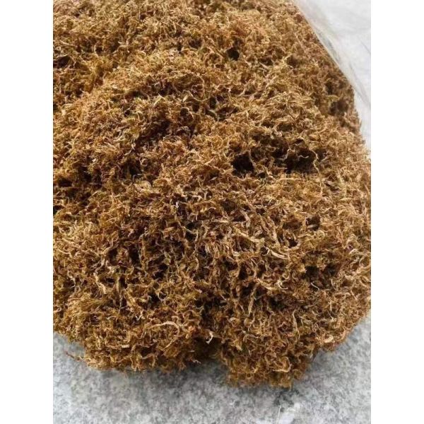 Vietnam Nha Trang Hook Silk Old Material Scraps Natural Agarwood Spices Tea Wine Soaking