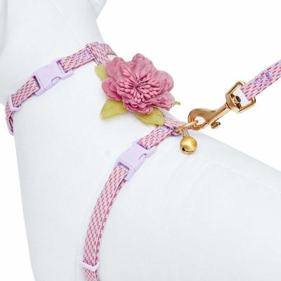 A segurança Breakaway Cat Harness Collar, personalizou Cat Collars Polyester Webbing