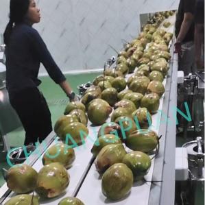 2-9T/H Filling Speed Coconut Water Machine 5-20 BIB Bag
