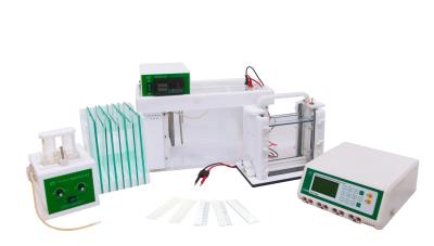 DGGE Vertical Gel Electrophoresis Equipment Denaturing Gradient Gel Electrophoresis Unit