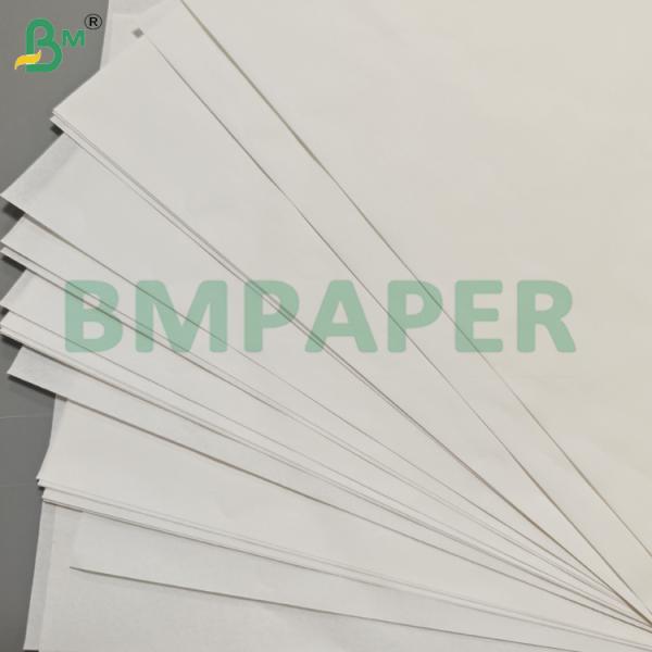 Hojas de papel resistentes al moho para revestimiento de vidrio