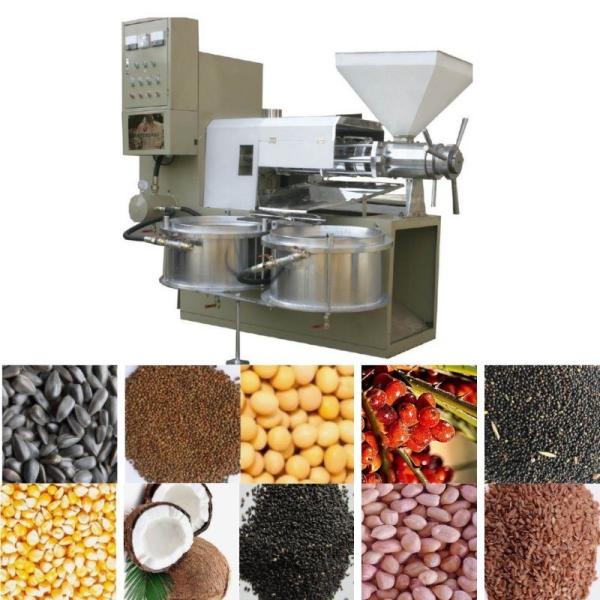 Screw Squeezed Press Method Small Household Spiral Oil Press Machine for Peanut Oil