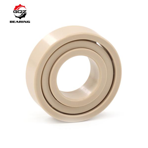 6205 Plastic Bearing PEEK Races Retaine with ZrO2 Balls Deep Groove Ball Bearings 25x52x15 mm