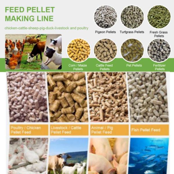 1Ton Livestock Animal Feed Machinery Grass Pellet Making Machine Corn Wheat