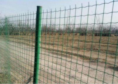 Euro Holland Farm Mesh Fencing Grass Green For Animal Isolation