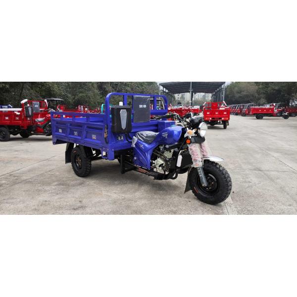 151 200cc Displacement 3 Wheel Gasoline Engine Motorized Petrol Cargo Tricycles for Adults