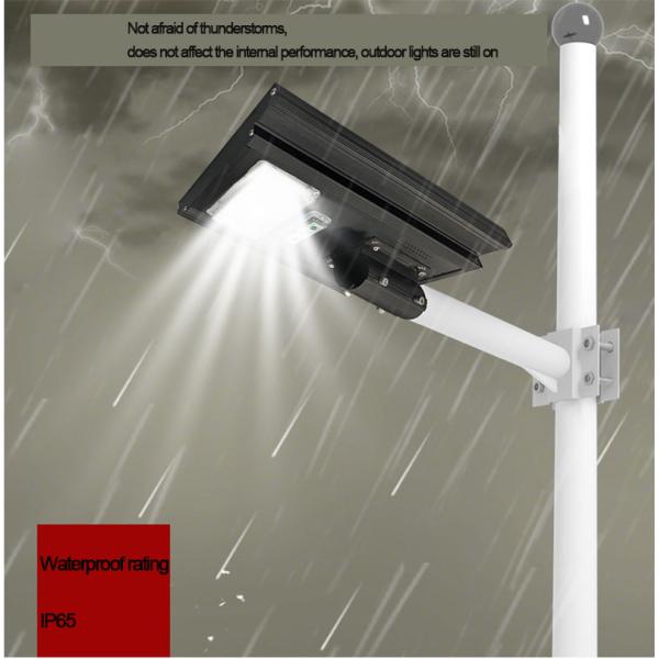 Lighting and Circuitry Design for 0.23kg Power Induction Street Light in Rural Areas