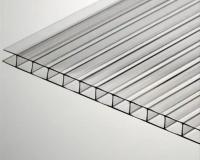 Best Twin Wall Polycarbonate Sheet made in china