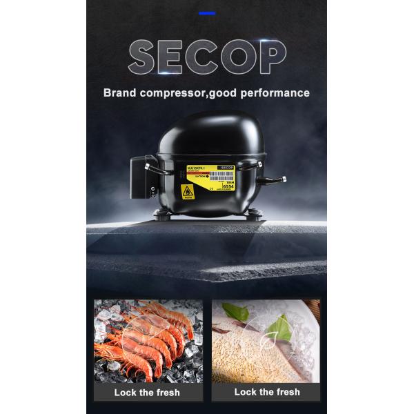 Большой статический охлаждающий кухонный рабочий стол стоянка глубокий морозильник Danfoss R22a