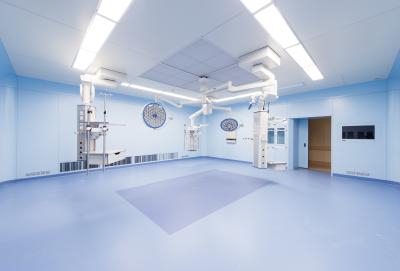 Hospital Laminar ceiling lamp
