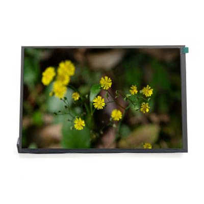 Industrial Control 10.1 Inch High Brightness LCD Display 1920x1200 Resolution
