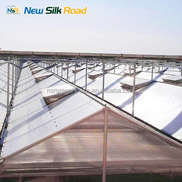 vegetable garden greenhouse frame agricultural greenhouses tunneling polycarbonate greenhouses supplier for plants