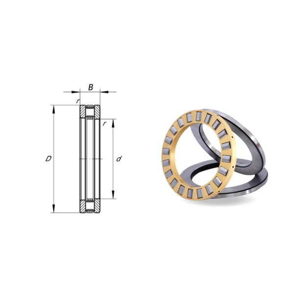 OEM Standard Production Thrust Roller Bearing 81164 320*400*63mm 9164 Vertical Motor Thrust Bearing
