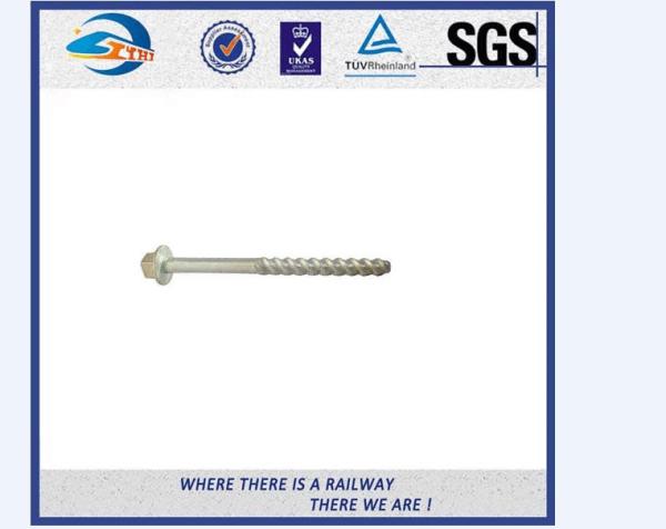 High Tensile Screw Spike Railway Spike Railroad Screw 8.8 Grade