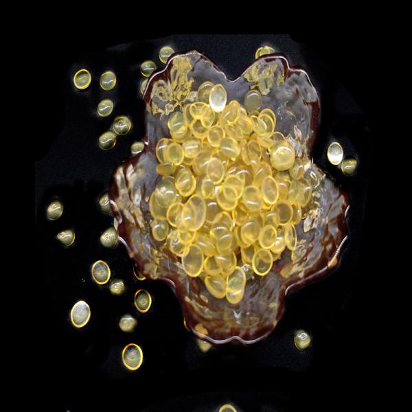 Хорошая устойчивость к маслам Бензол Растворимая полиамидная смола для флексографических чернил