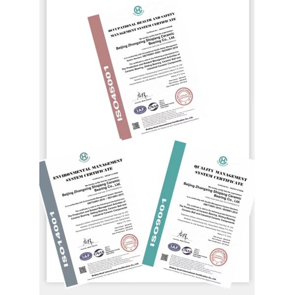 695 Керамические шаровые подшипники для подводного оборудования