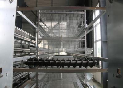 Automatic Layer Chicken Cage  Hen Poultry Cage Construction For Farm