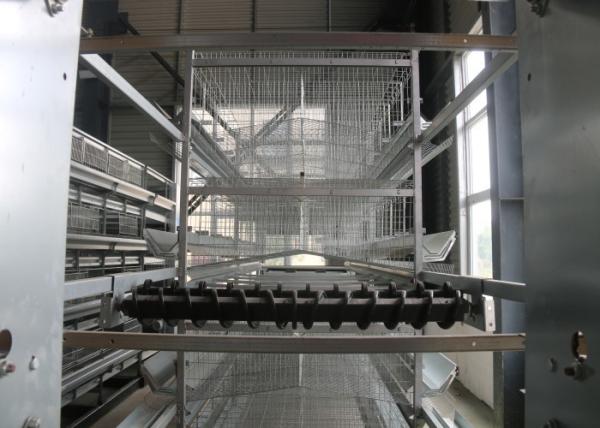 Automatic Layer Chicken Cage  Hen Poultry Cage Construction For Farm