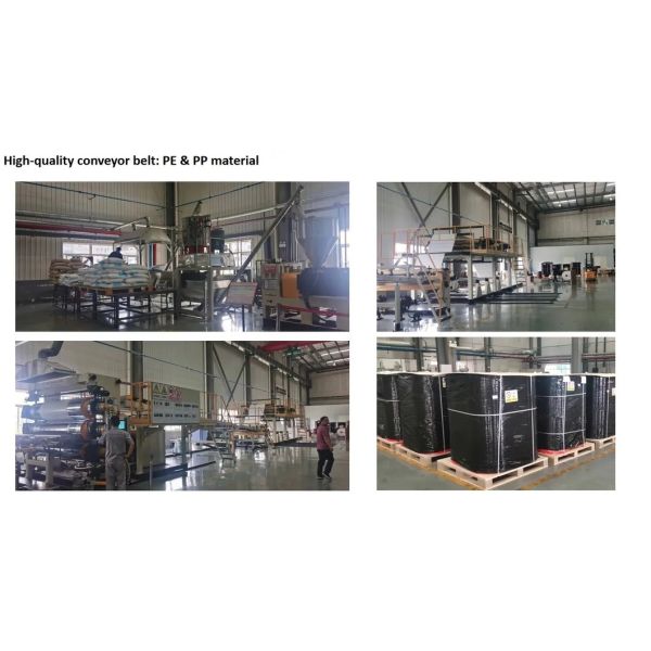 High Quality Full Automatic Poultry House Machinery with Corrosion Resistant Hot Dip Galvanised Steel and Automatic Feeding System