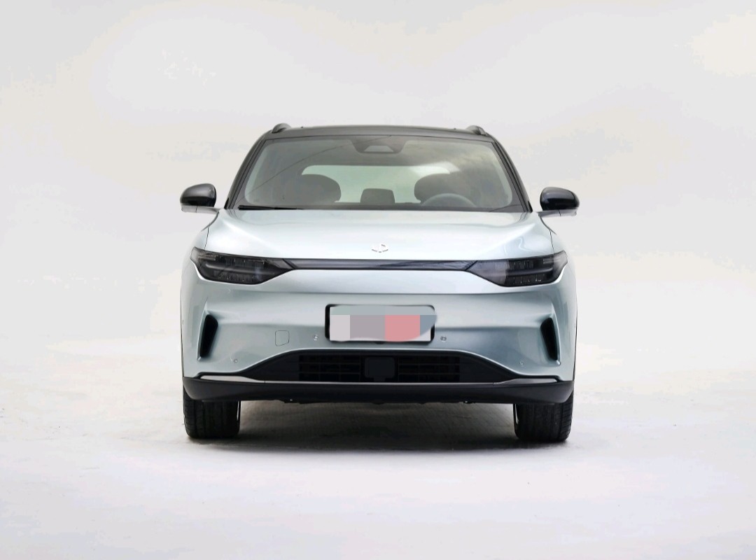 Размер электрическое Suv 610km версии EV изменения перескакивания C11 2021 роскошный средний