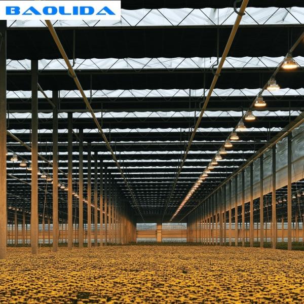 Auto Blackout Greenhouse 100% Light Deprivation UV Guarantee Blackout Curtain