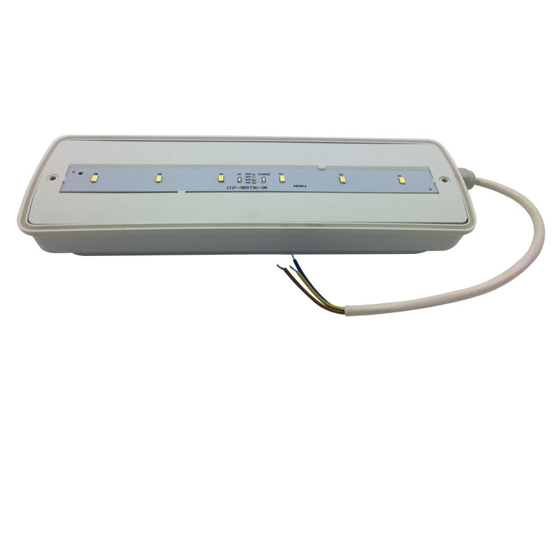 3 Hours Rechargeable Bulkhead Waterproof Emergency Light IP65 Plastic Ni-Cd L116N-E