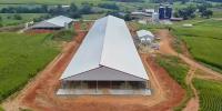 Estructuras de acero ligero galvanizado para gallinero con cubierta de chapa de acero corrugada de una sola capa