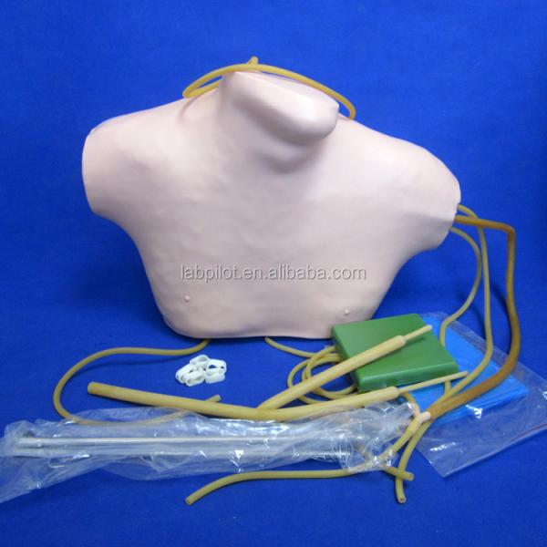 Advanced PVC CVC Training Simulator for Central Venipuncture and Intubation Education