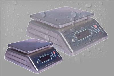 IP68 Waterproof Weighing Scales , Stainless Steel Platform Weighing Scale