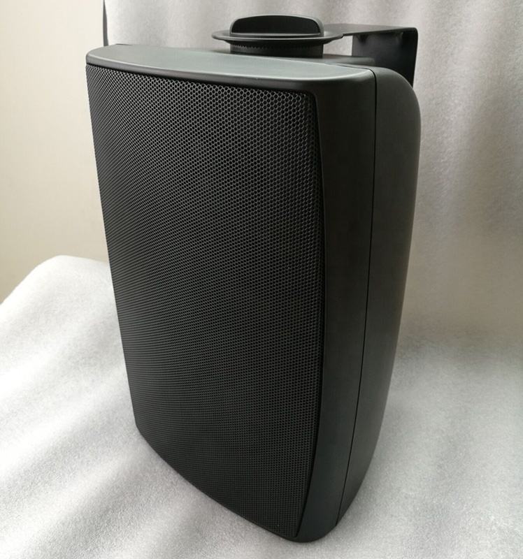 Two Way Wall PA Speaker 20W Individual Tweeter And 4 Inch Woofer Speaker