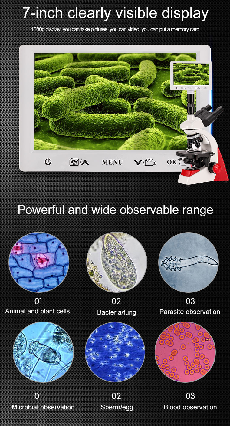 1000X HD LED Illumination Trinocular Microscope Glasses Student-Suitable Sunglasses 40X-5000X Compound Leyes 1-Year Warranty