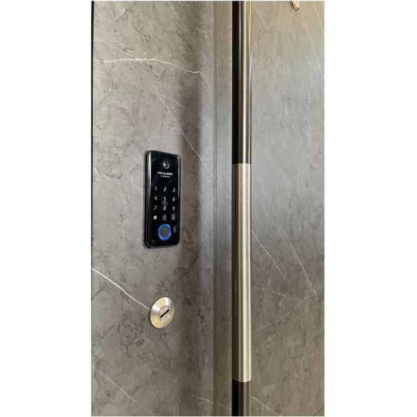 Customizable Fingerprint Front Door Steel Security Door With Knock Down Frame