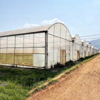 Resistencia al viento UV Net House Invernadero Controlador ambiental Invernaderos de múltiples tramos