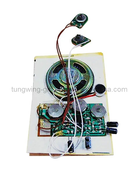 Recordable Sound Module for Greeting Card with 6-60 Seconds Recording, Clear Voice Quality and Memory Retention