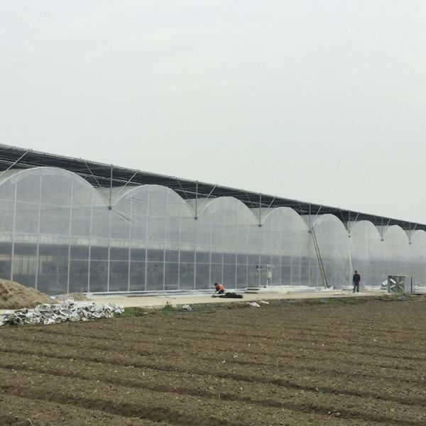 Multi Arch High Tunnel Greenhouse Hydroponics Temperature Control For Farming